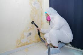 Best Asbestos and Lead Testing During Mold Inspection  in Sun City, AZ